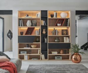 1-OBLIK_BIBLIOTHECELIO